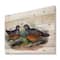 Designart - Vintage Birds In The Wild VII - Traditional Print on Natural Pine Wood